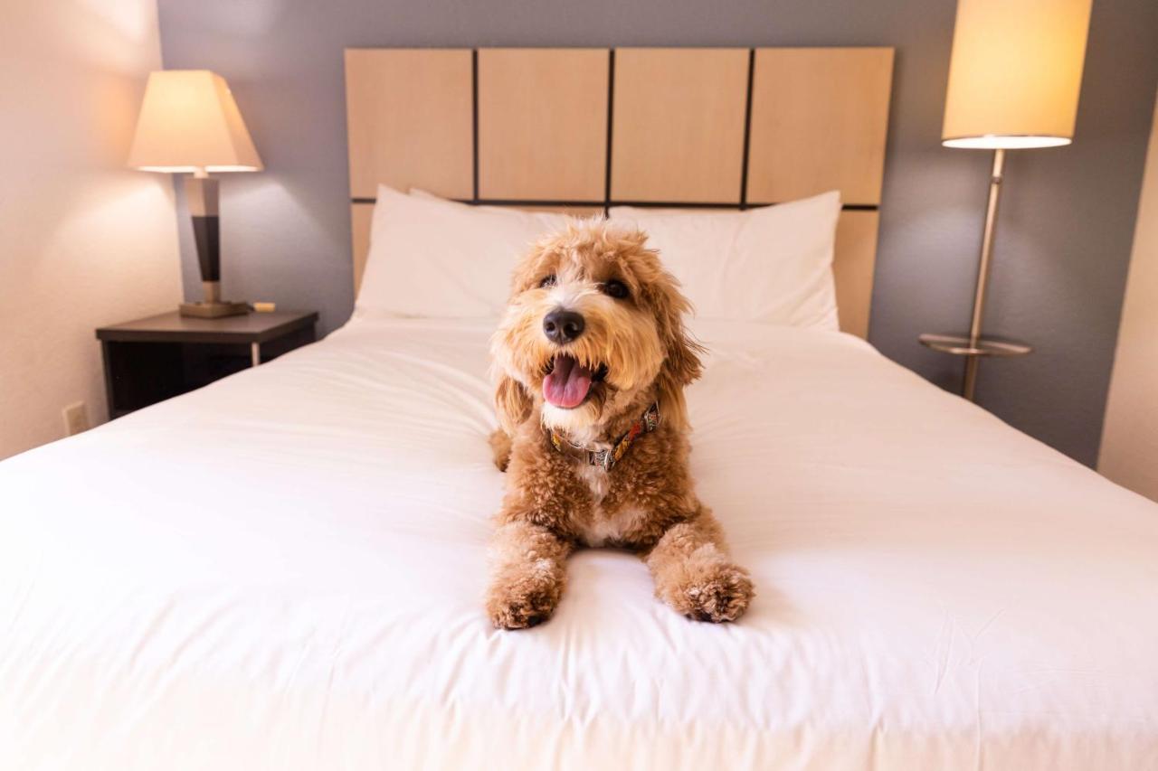 Sonesta Simply Suites Detroit Warren Exteriör bild